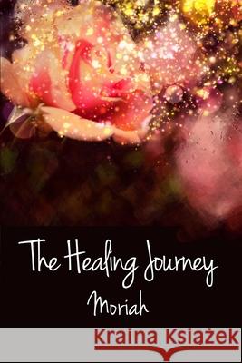 The Healing Journey: Book III Sue Kid 9780970946140 R. R. Bowker