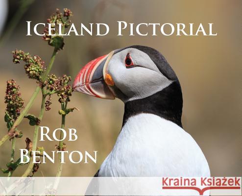 Iceland Pictorial Rob Benton 9780971070288 Esotericom