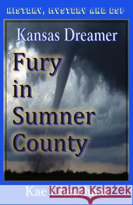 Kansas Dreamer: Fury in Sumner County K. Follis Cheatham Kae Cheatham 9780971428720 Kaios Books