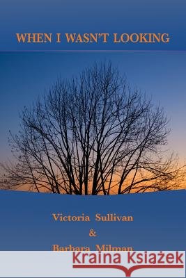 When I Wasn't Looking Victoria Sullivan Barbara Milman 9780972173162 Red Parrot Press
