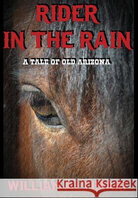 Rider in the Rain William Altimari 9780972872669 Virtualbookworm.com Publishing