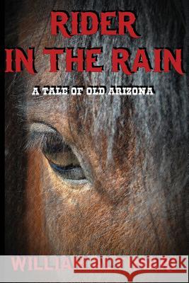 Rider in the Rain William Altimari 9780972872676 Virtualbookworm.com Publishing