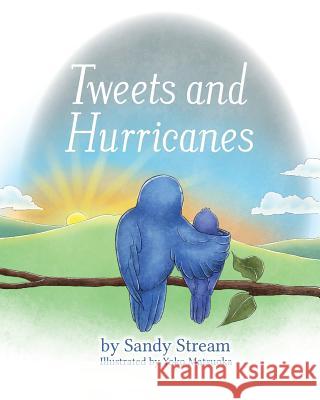 Tweets and Hurricanes Sandy Stream Yoko Matsuoka 9780973948141 Sandy Stream Publishing