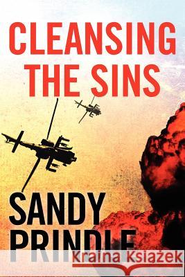 Cleansing The Sins Prindle, Sandy 9780974550602 Sandy Prindle