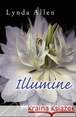 Illumine Linda Allen 9780975383780 Peace Evolutions