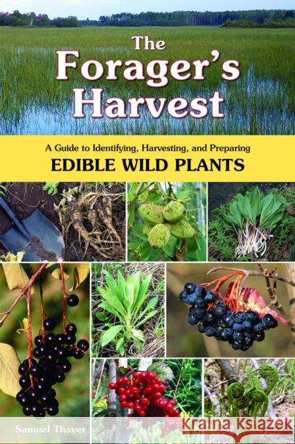 The Forager's Harvest: A Guide to Identifying, Harvesting, and Preparing Edible Wild Plants Samuel Thayer 9780976626602 Foragers Harvest Press