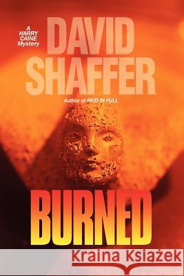 Burned David Shaffer 9780976810827 Alabaster