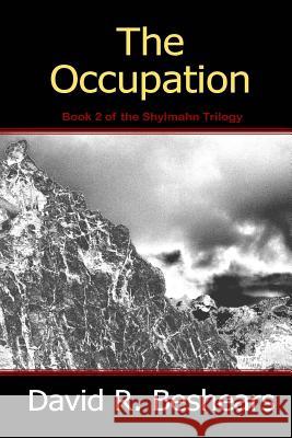 The Occupation David R. Beshears 9780977364619 Greybeard Publishing