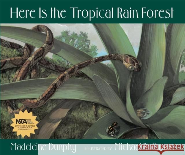 Here Is the Tropical Rain Forest Madeleine Dunphy Michael Rothman 9780977379514