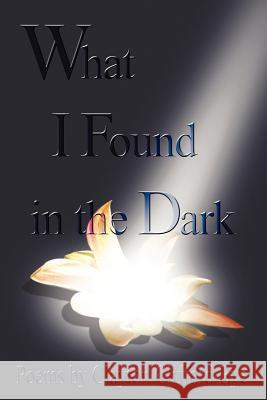 What I Found in the Dark Clayton Clifford Bye 9780978177430 Chase Enterprises Publishing