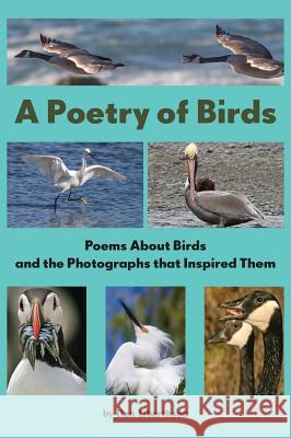 A Poetry of Birds: Poems About Birds and the Photographs that Inspired Them Dan Liberthson 9780978768348 Gatekeeper Press