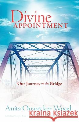 Divine Appointment Anita Onarecker Wood 9780978926557
