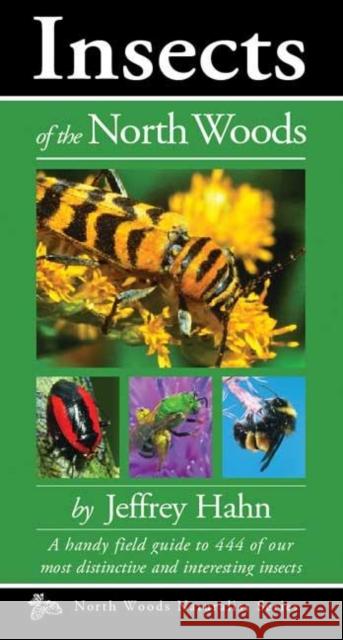 Insects of the North Woods Jeff Hahn 9780979200649 Kollath-Stensaas