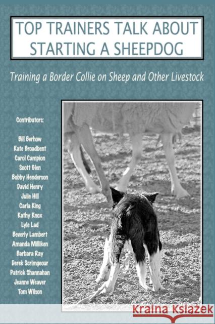 Top Trainers Talk about Starting a Sheepdog: Training a Border Collie on Sheep and Other Livestock Molloy, Sally 9780979469015 Outrun Press
