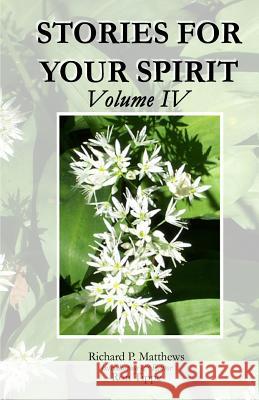 STORIES FOR YOUR SPIRIT, Volume IV Tippe, Ron 9780979810633 Revitalizing Ministries