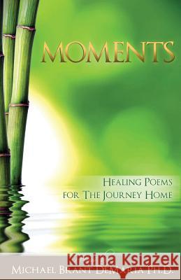 Moments Michael Brant DeMaria 9780980219623