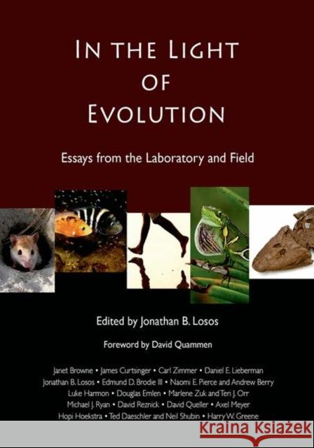 In the Light of Evolution: Essays from the Laboratory and Field Jonathan B. Losos 9780981519494 Roberts & Company Publishers