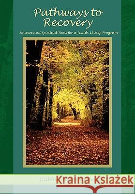 Pathways to Recovery: Sources and Spiritual Tools for a Jewish Twelve Step Program Yaacov Jeffrey Kravitz 9780981579634