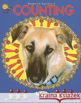 Bellaboo & Bbug's Book of Counting Tiffany A. Laufer 9780982008812 Bellaboo Books