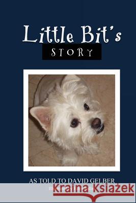 Little Bit's Story David Gelber 9780982076323 Ruffian Press