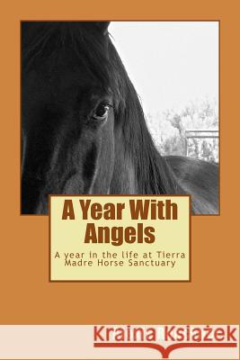 A Year With Angels: A year in the life at Tierra Madre Horse Sanctuary Roeckner, Alexis 9780982132340