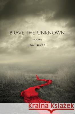 Brave the Unknown Ushi Patel 9780982279700