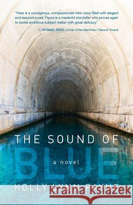 The Sound of Blue Holly Lynn Payne 9780982279755 Skywriter Books