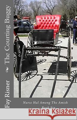 The Courting Buggy: Nurse Hal Among The Amish Risner, Fay 9780982459560 Fay Risner