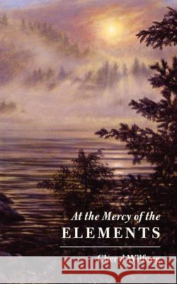 At the Mercy of the Elements Cheryl Wilfong   9780982566428 Heart Path Press