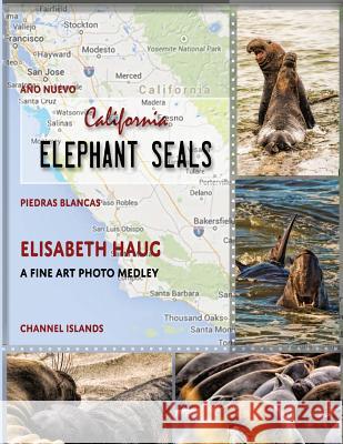 California Elephant Seals Elisabeth Haug 9780982606483