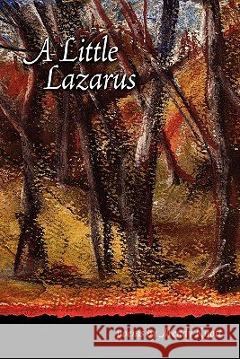 A Little Lazarus Mendy Knott 9780982945513