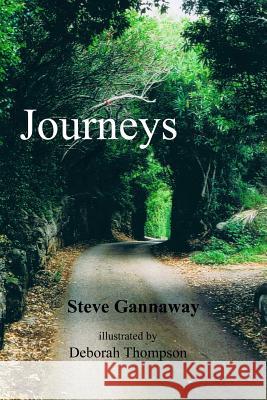 Journeys Steve Gannaway Deborah Thompson Mary Gillings Gannaway 9780983004707 Maine Seasons