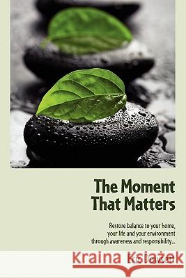 The Moment That Matters Eric Dowsett Patricia Wallenberg 9780983090724 Eric Dowsett