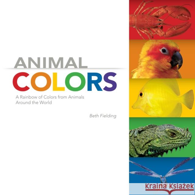 Animal Colors Beth Fielding 9780983201489 EarlyLight Books,  Incorporated