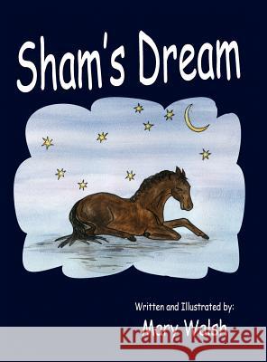 Sham's Dream Mary Walsh 9780983559900 Echo Publishing