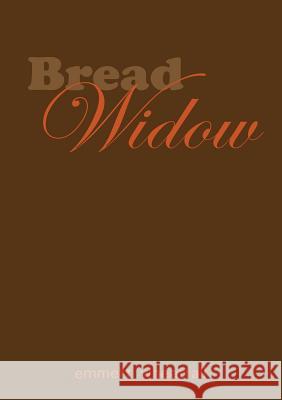 Bread Widow Emmett Wheatfall 9780983723189 Reflections Publishing