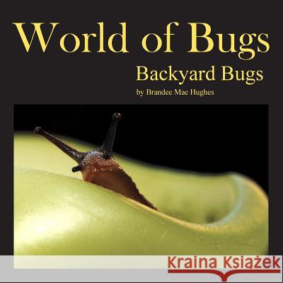 World of Bugs: Backyard Bugs Brandee Hughes 9780983829553 Bula Bug