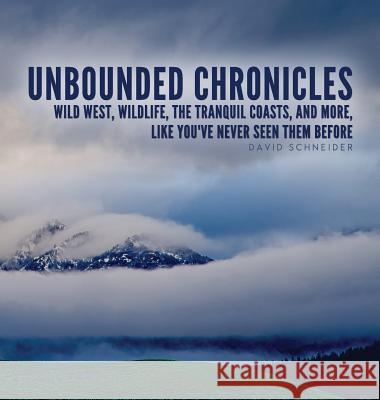 Unbounded Chronicles (Hardcover) David Schneider Bobbie Christmas 9780983896739 Fringe Publishing