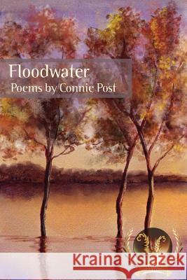 Floodwater Connie Post 9780984035212 Glass Lyre Press