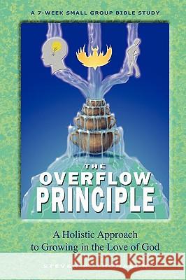 The Overflow Principle Steven P. Thomason Steven P. Thomason 9780984067008 Vibble Books