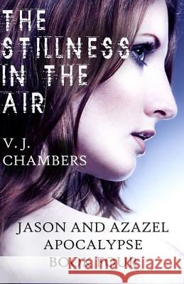 The Stillness in the Air V. J. Chambers 9780984120642 Punk Rawk Books