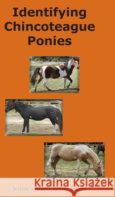 Identifying Chincoteague Ponies Gina Aguilera 9780984239252 Jennie's Music Room Books