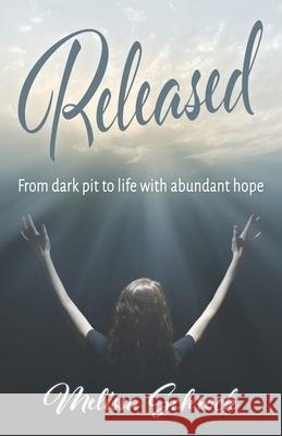 Released: From Dark Pit to Life with Abundant Hope Melissa Schrock 9780984273317