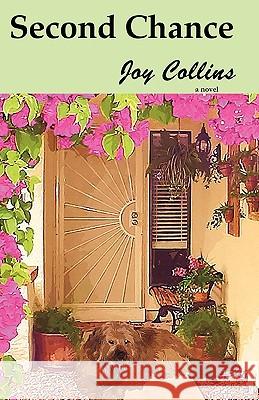 Second Chance Joy Collins 9780984431915 Desert Spirit Press