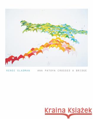 Ana Patova Crosses a Bridge Renee Gladman 9780984469390 Dorothy a Publishing Project