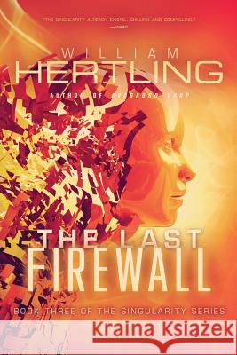 The Last Firewall William Hertling 9780984755769 Liquididea Press