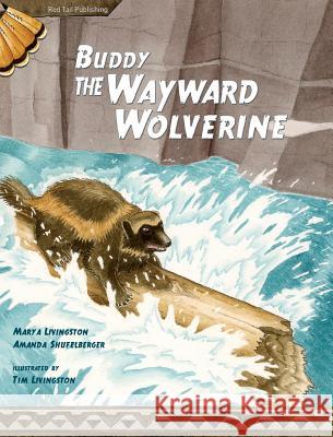 Buddy, the Wayward Wolverine Mary a. Livingston Amanda Shufelberger Tim Livingston 9780984775651 Red Tail Publishing