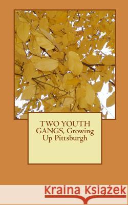 TWO YOUTH GANGS, Growing Up Pittsburgh Stevans, Andrew L. 9780984834051