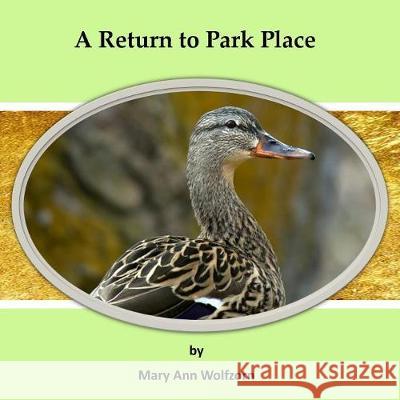 A Return to Park Place Mary Ann Wolfzorn Gene Wolfzorn Neal L. Powers 9780984881895