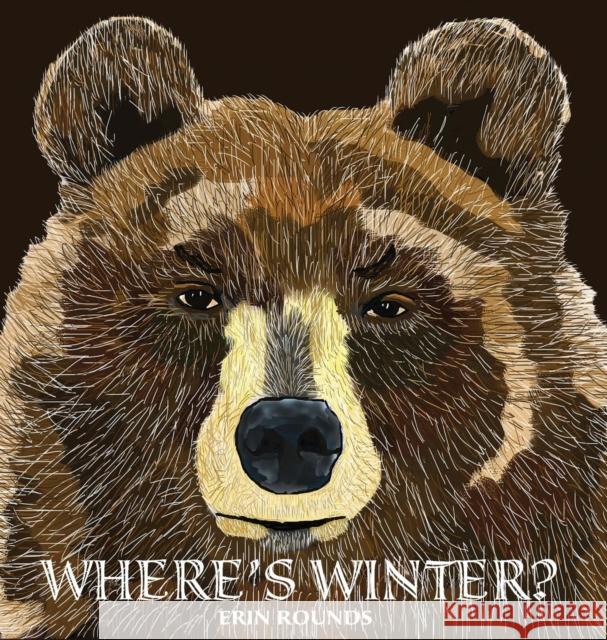 Where's Winter Erin Rounds Erin Rounds Tammie Stevens 9780984915583 Billyfish Books LLC